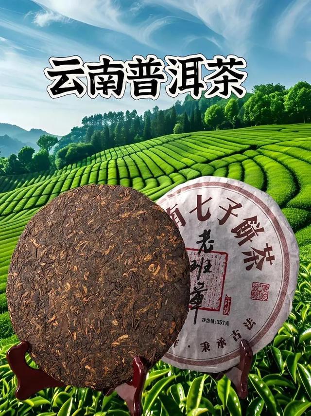 作为一个老品种云南人，不吹不黑告诉你云南到底哪些地方值得去？