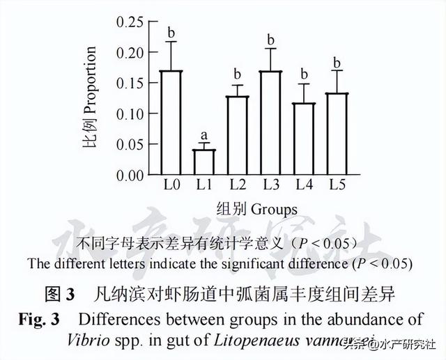 揭秘水产养殖中小肽！拌料促成长提升免疫调肠道健康一个都不少！