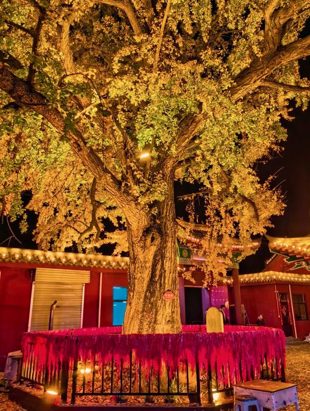 汝阳云梦藏着你不知道的历史