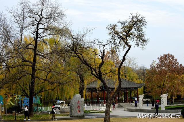 达活泉：公园披金衣，满目黄金柳（图）