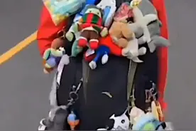 笑不活了，全红婵被外国选手调侃后耿直回击：你有病吧，网友炸锅图片