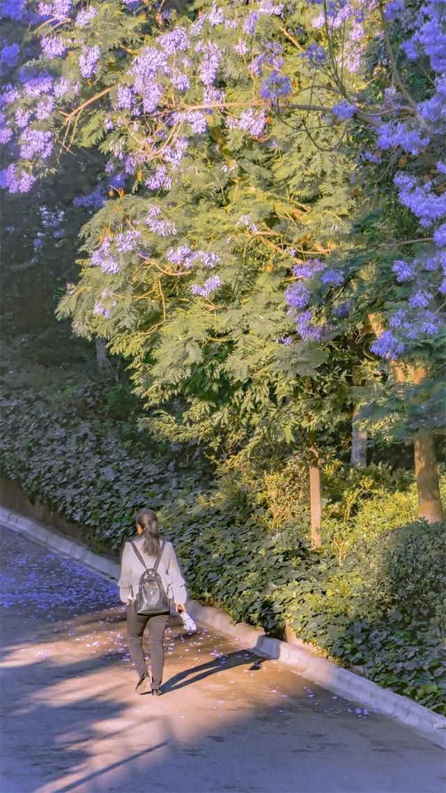 12月旅行推荐！12个最佳目的地，避开人潮，对的时间就去对的地点