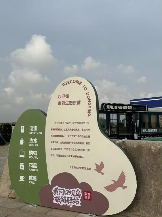 黄河入海 大美垦利 | 东营垦利观鸟贴心攻略