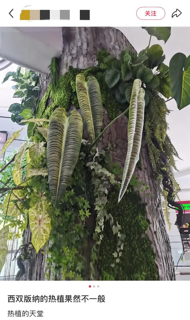 这可能是我买过的最离谱的特产: