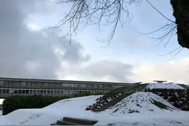 初次体验全球宜居城市温哥华，怎样吃好玩好？图片