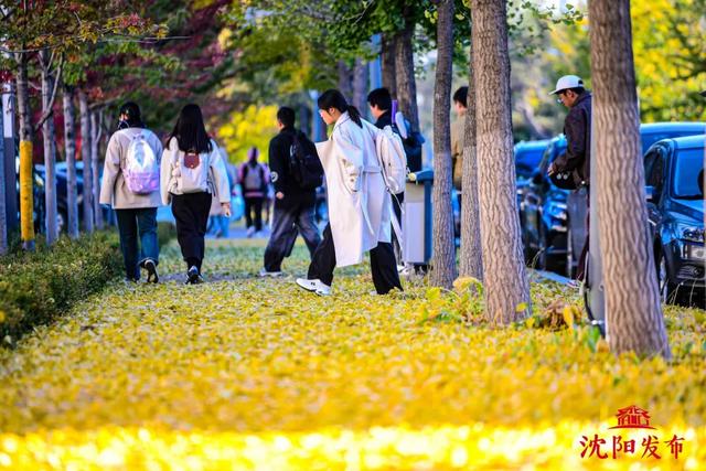 沈阳这些地方太美了!赏秋倒计时,错过等一年!