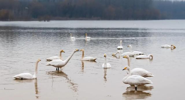 兰州及其周边11个赏雪好去处！