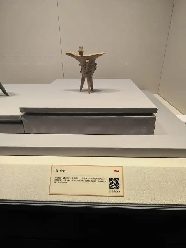 天津游记（上）