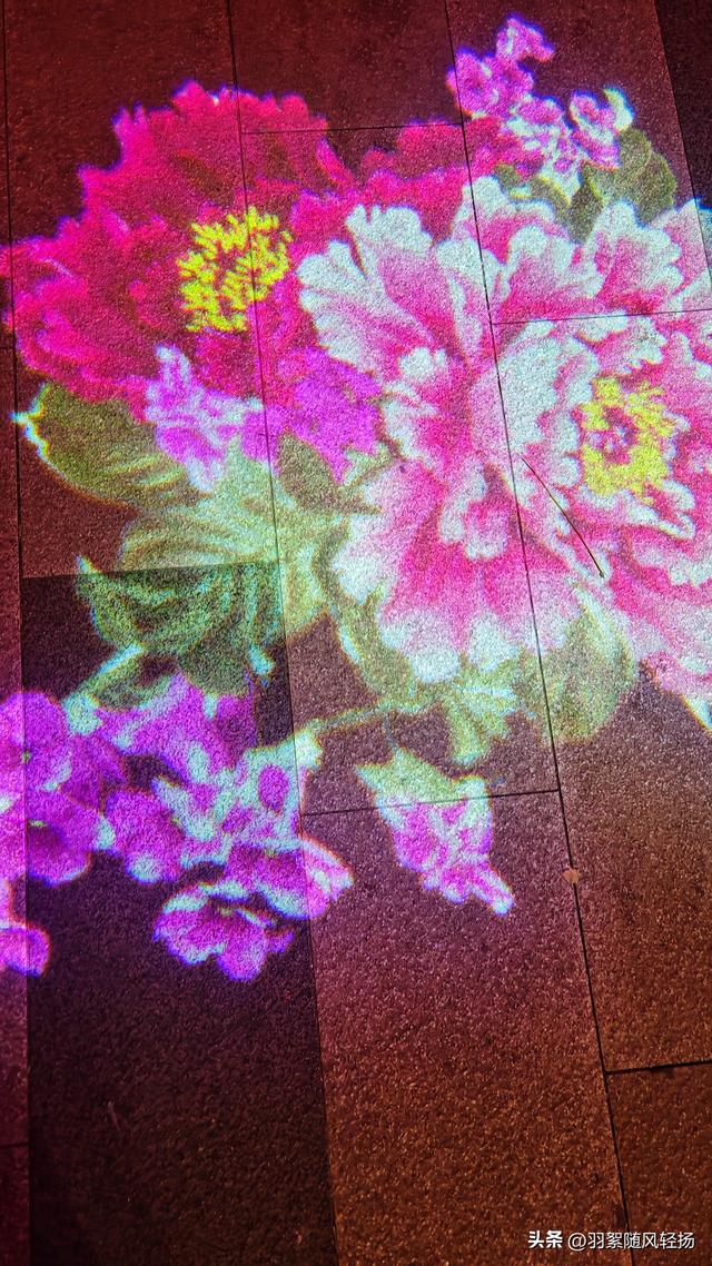 洛阳的美越来越精致