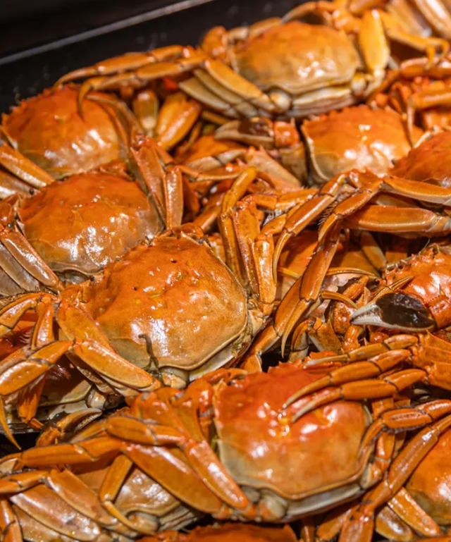 征服“海马”赛道，来秀英犒劳自己！