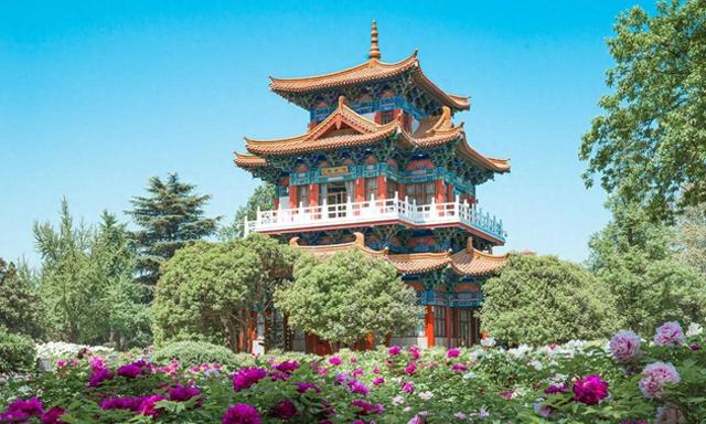 东莞没想到，宁波也没想到，如今的中国洛阳，已成为全国焦点