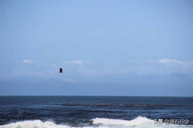南部非洲：南非好旺角