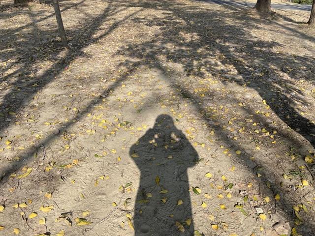 骑游仪征龙山森林公园、六合长江渔村