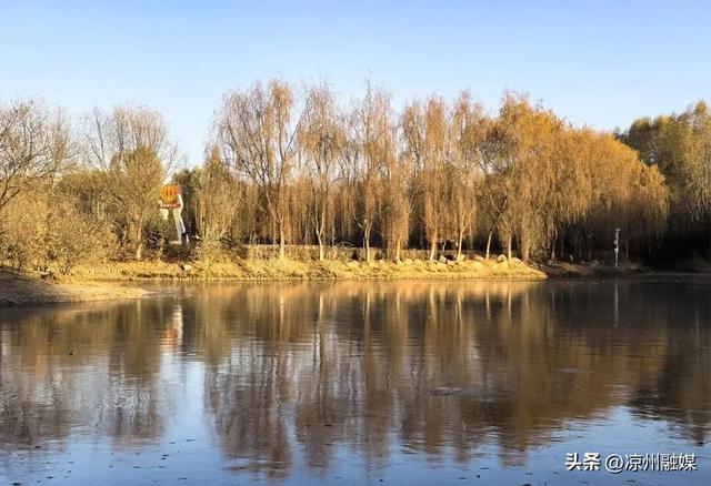 冬日海藏 温柔满溢