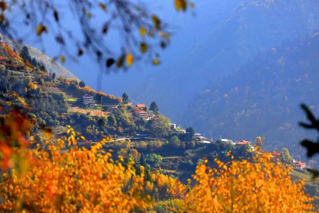 管他什么假，不放假也要来阿坝！