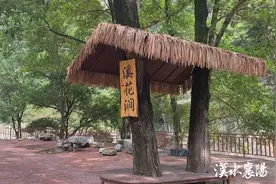 襄阳：全面开展美好公路创建 当好高质量发展“先行官”图片