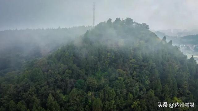 Run渠县，每一步都“热辣滚烫”