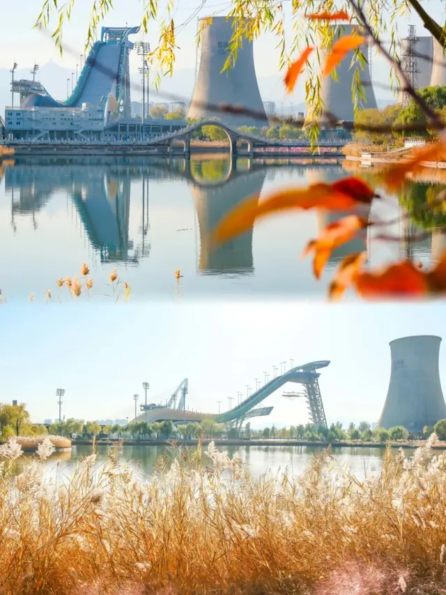 奇观！桃花逆寒盛开！北京的秋冬有多“热闹”——