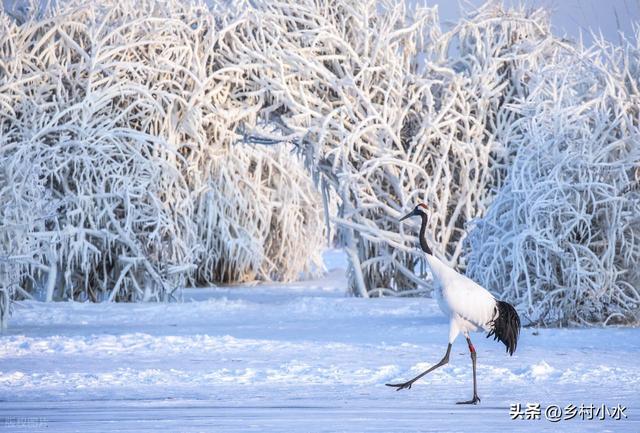 2026年春节特别冷吗？冬至的天气有预兆，看看老祖宗的经验咋说