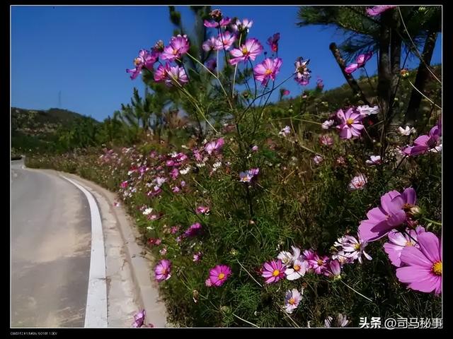 小兴安岭藏宝地！南岔冰雪狂欢、红色记忆、北药盛宴
