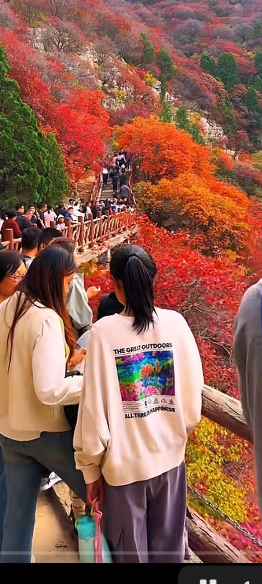 “青春逐秋，故宫梦启说走就走。”