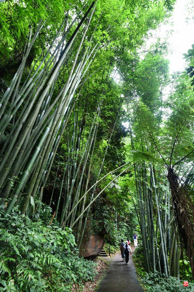 赤水四洞沟瀑布