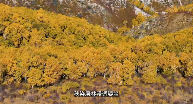 假期出行！快来领略马鞍岭的秋日絮语！