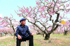 古稀老人的“世外桃源”图片