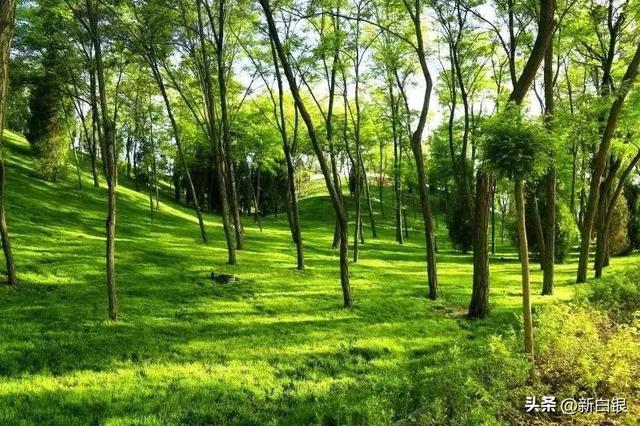 白银的夏天 原来可以这么带感
