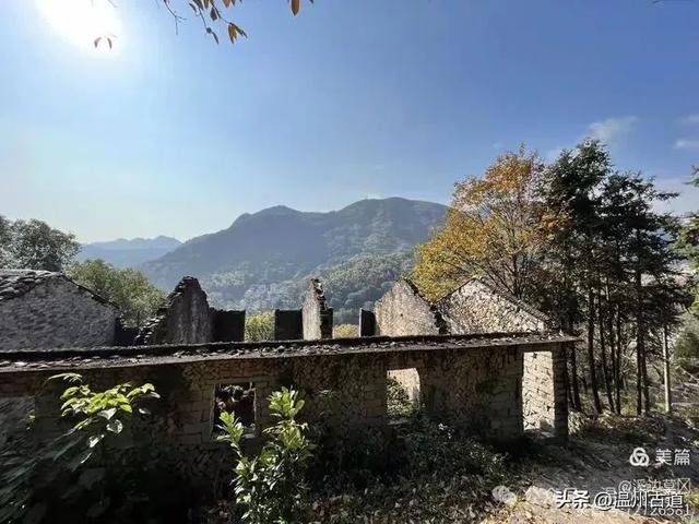 约吗？温州此处枫叶已渐红，这周末将进入赏红叶佳期！