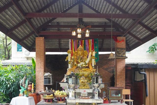 兰纳水灯节疗愈之旅，泰国清道大象训练中心｜和大象做朋友的一天