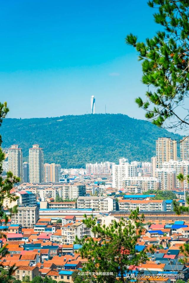 山顶看海，武汉这个机位绝了！