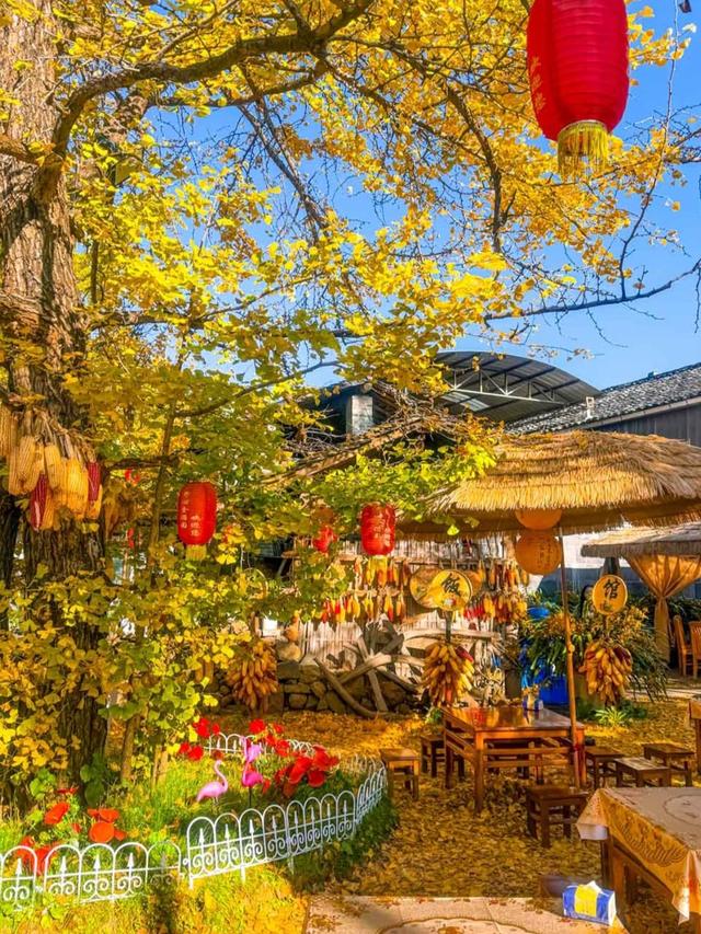 预算800+！适合11-12月穷游的“零差评”的6个城市，便宜又好玩！