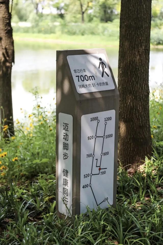 “Fun”假张家港|GO!GO!GO!动起来!