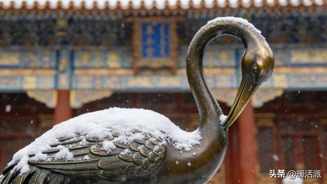 北京初雪封神！故宫脊兽披白，胡同烟火裹着雪香醉了全网