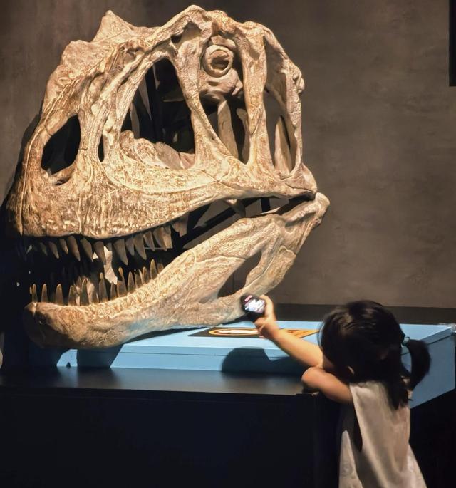 南宁亲子遛娃新地标！规划馆旁的“侏罗纪世界”，带娃玩出新鲜感