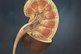 女生小便尿道口刺痛是什么原因图片