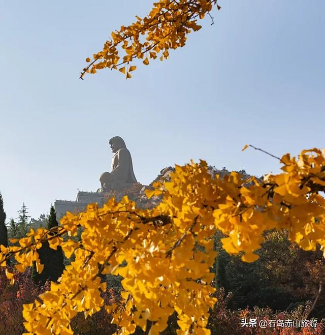 赤山红叶记：山海之间的秋日三重奏