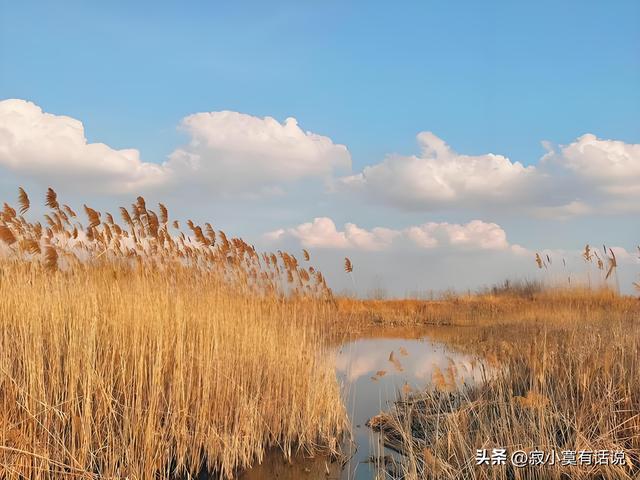才觉深秋至，忽而已是冬