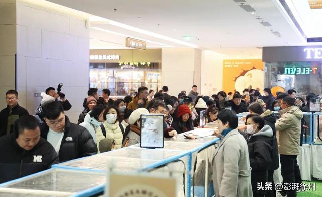 徐州人又有新去处！庆云桥新地标万人打卡