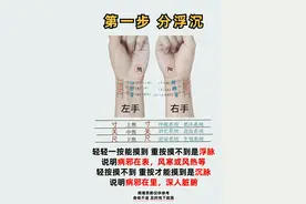中医六步学把脉，想学摸脉看过来图片