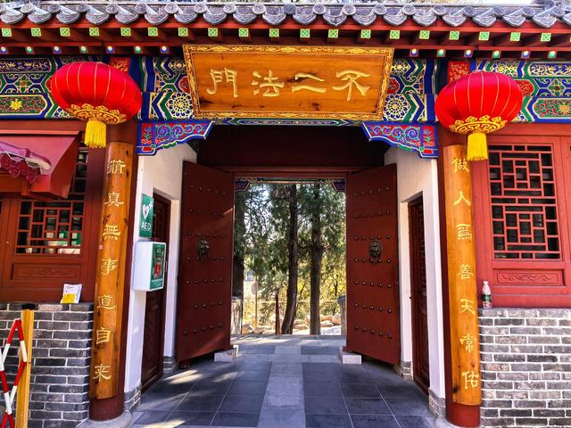 泰山王母池蜡梅初绽 花叶同枝尽显冬日诗意