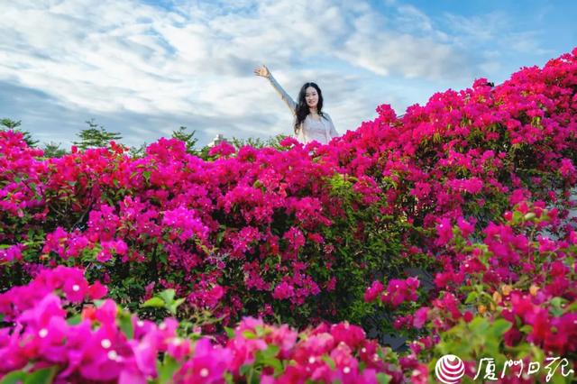 厦门又一网红出片点位,上新!美成偶像剧取景地→