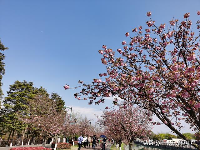 不负春光，让周末更有意义