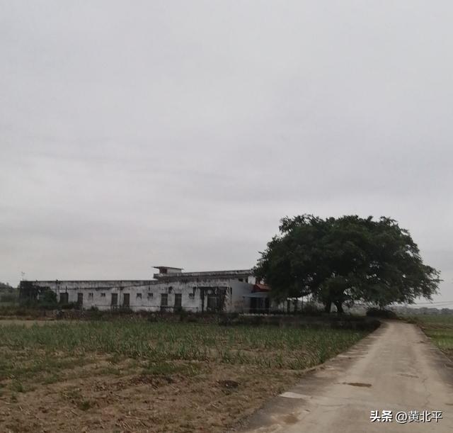 广西南宁市武鸣区撤销的乡镇，至今还保留赶集但往日的热闹不再有