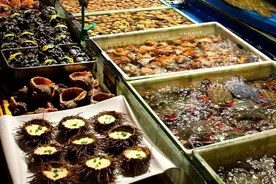 海鲜不输青岛、威海，山东这座人少景美的海边小城最适合秋日逛吃图片