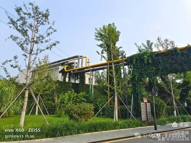 漫步西港花园：在山海之间遇见旧时光｜申艳娟
