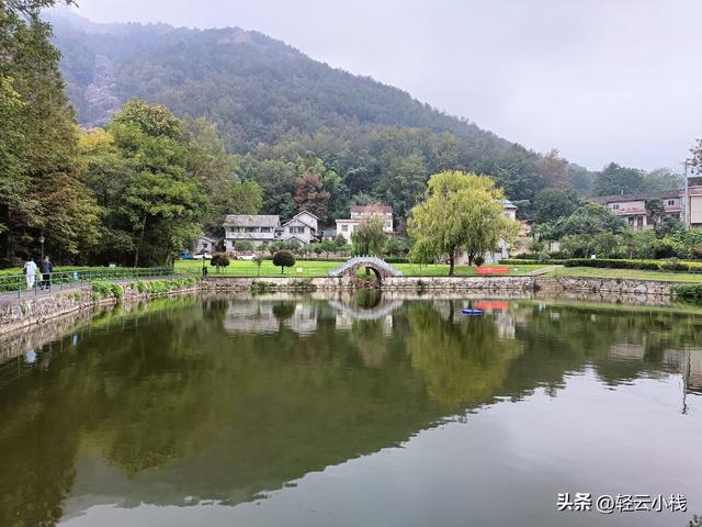 爬灵山石树感触到的（一）