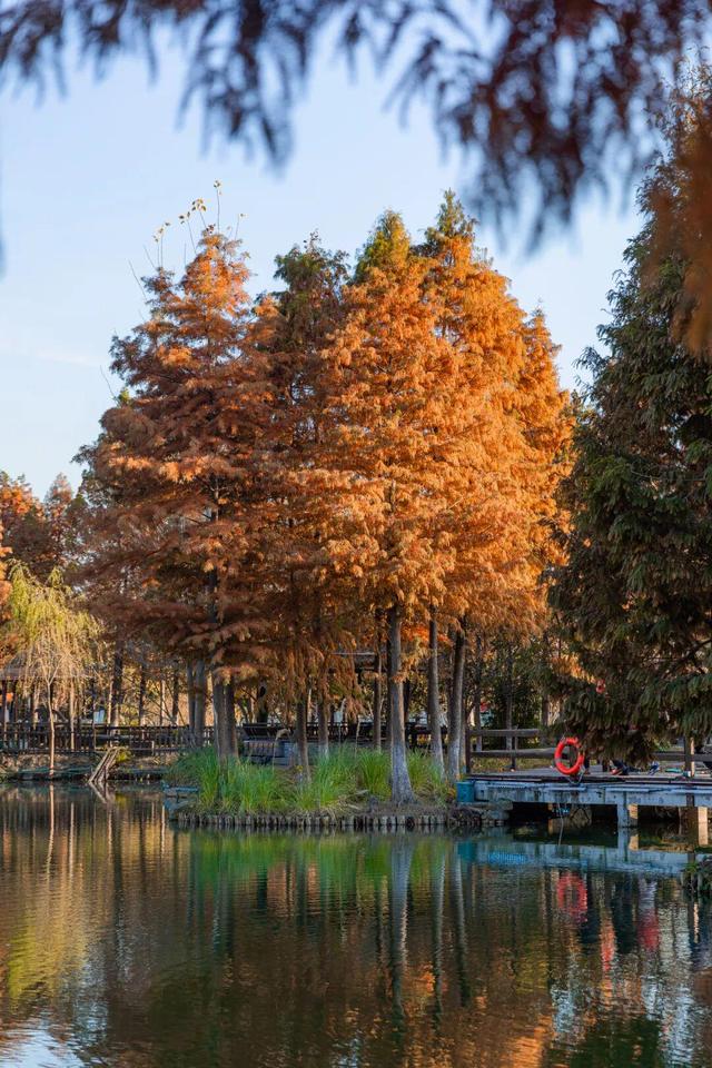 奔赴西溪，解锁治愈玩法