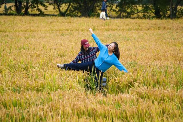 若你问深秋最该去哪里偷段闲？答案，就藏在黟县